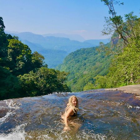 Chalet In The Jungle Pallegama المظهر الخارجي الصورة