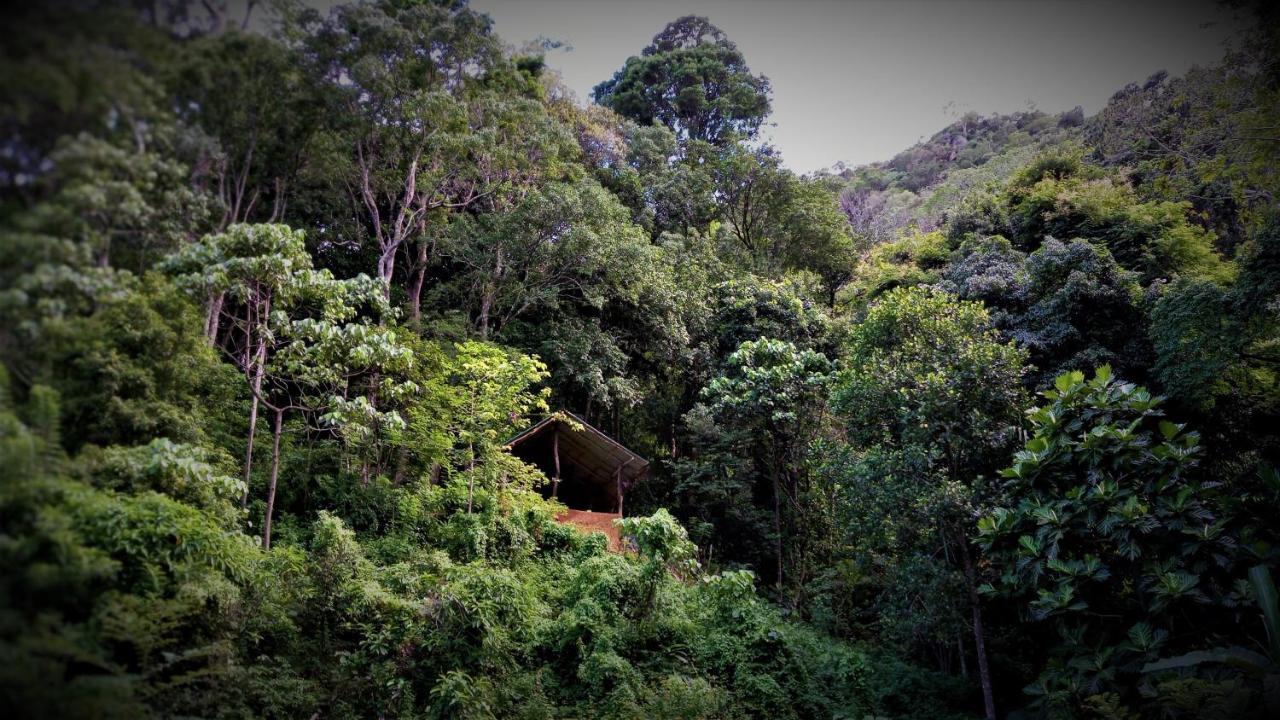 Chalet In The Jungle Pallegama المظهر الخارجي الصورة