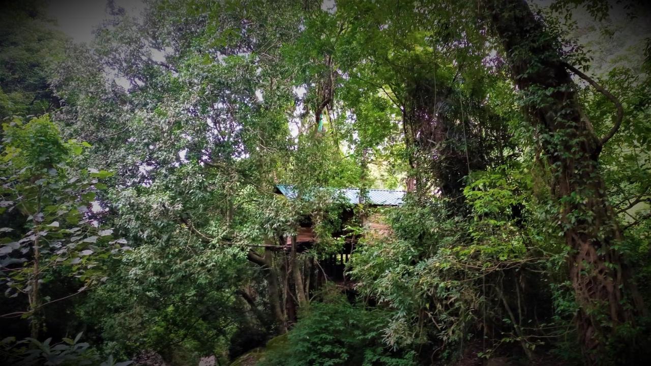 Chalet In The Jungle Pallegama المظهر الخارجي الصورة