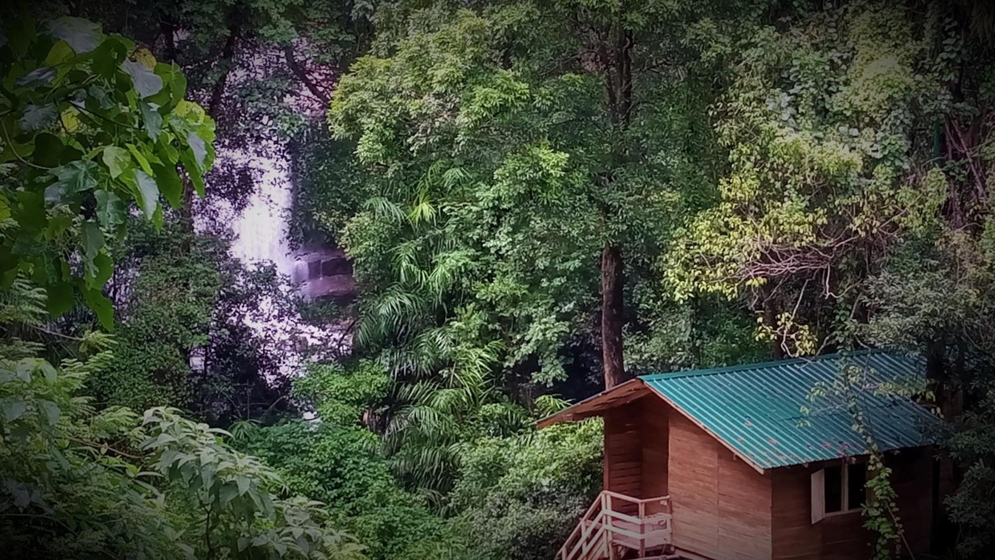 Chalet In The Jungle Pallegama المظهر الخارجي الصورة
