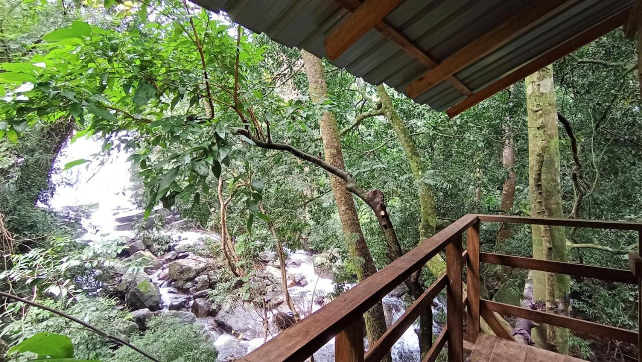 Chalet In The Jungle Pallegama المظهر الخارجي الصورة
