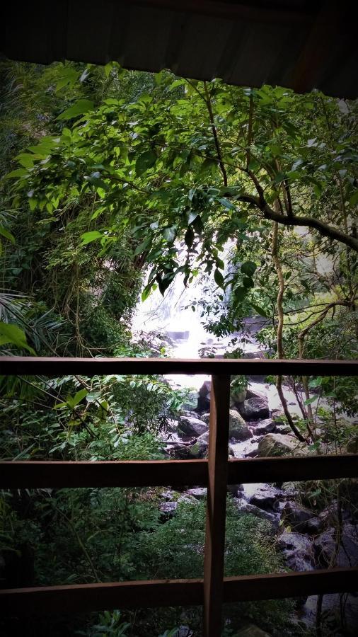Chalet In The Jungle Pallegama المظهر الخارجي الصورة