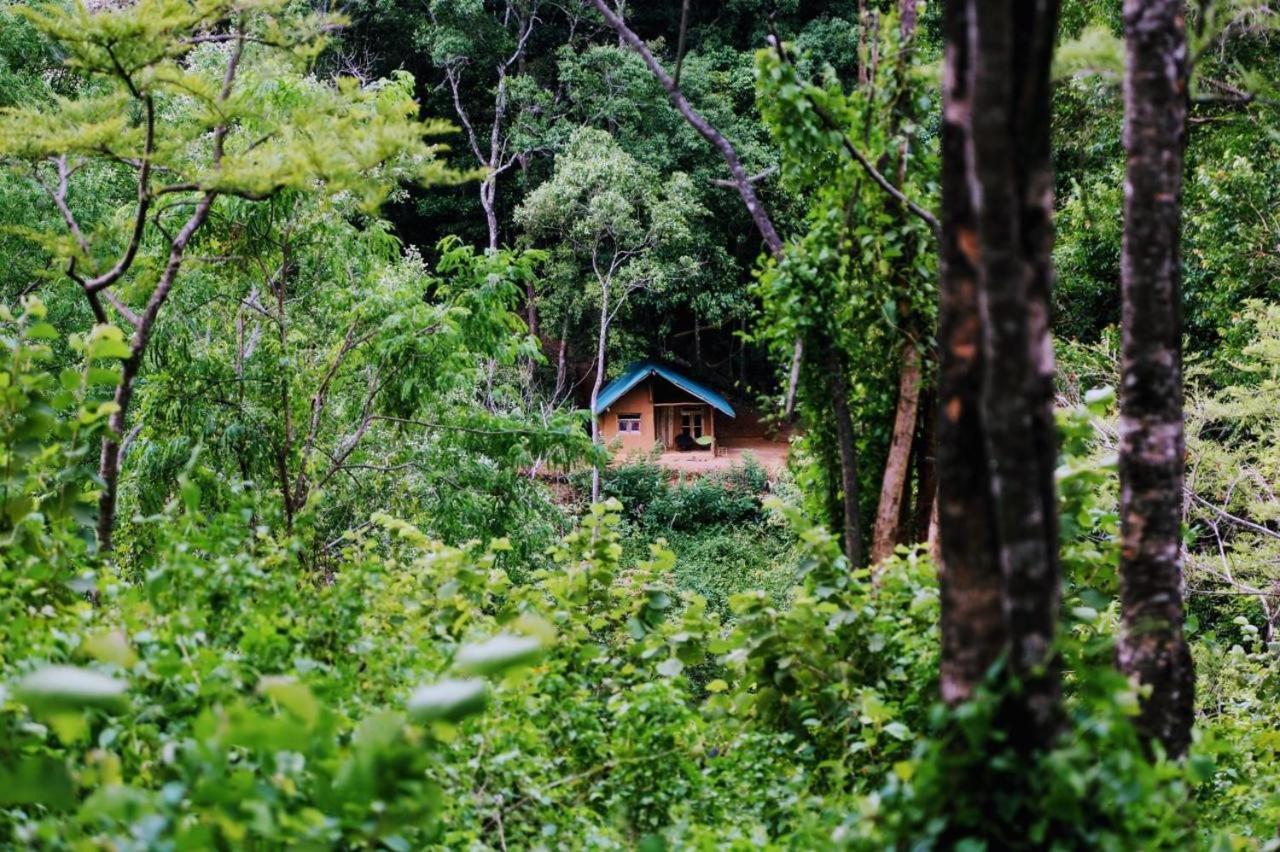 Chalet In The Jungle Pallegama المظهر الخارجي الصورة