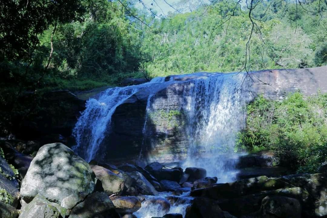 Chalet In The Jungle Pallegama المظهر الخارجي الصورة