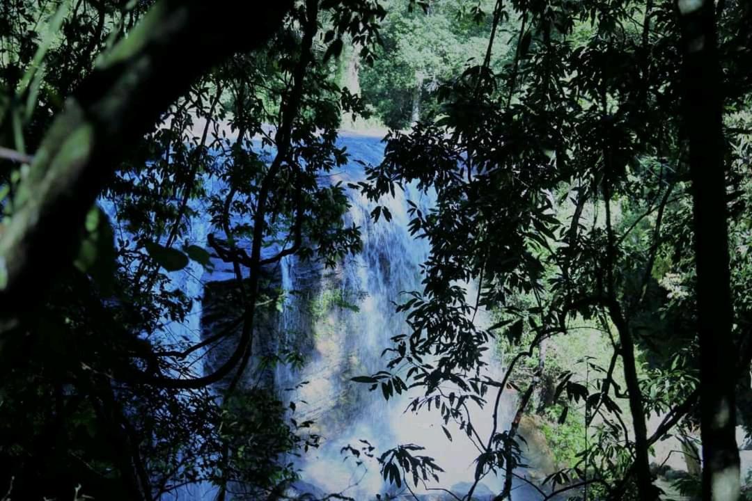 Chalet In The Jungle Pallegama المظهر الخارجي الصورة