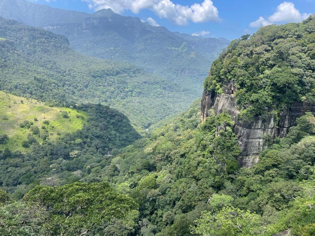 Chalet In The Jungle Pallegama المظهر الخارجي الصورة