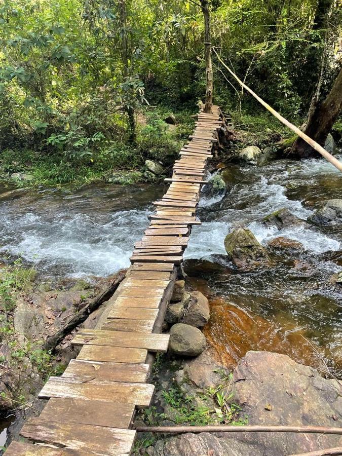 Chalet In The Jungle Pallegama المظهر الخارجي الصورة