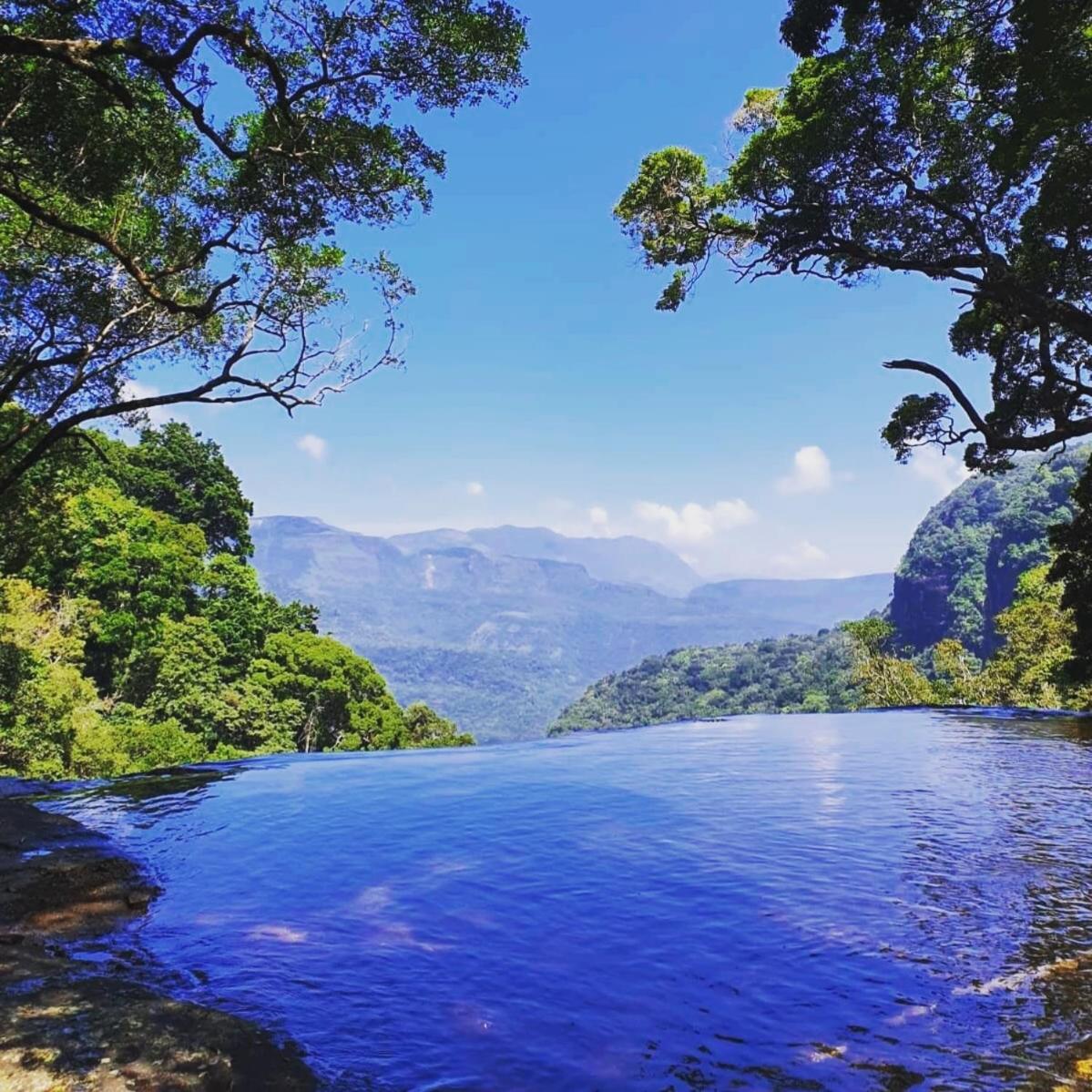 Chalet In The Jungle Pallegama المظهر الخارجي الصورة