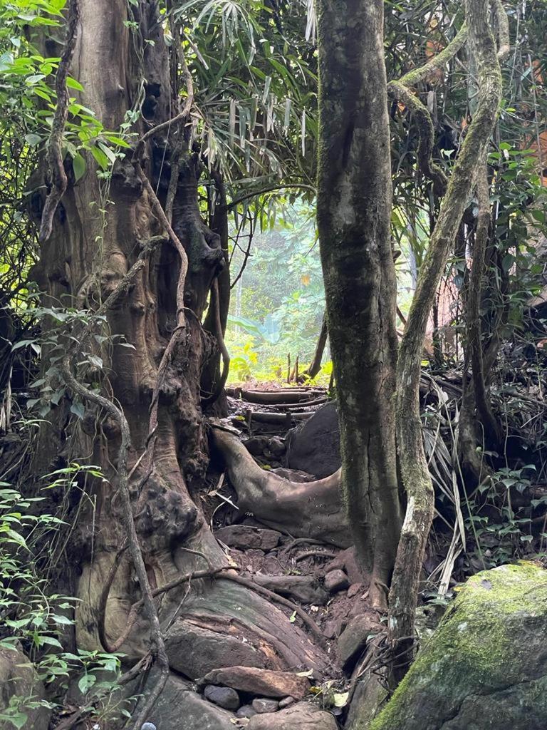 Chalet In The Jungle Pallegama الغرفة الصورة